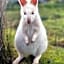 Bruny Island Holiday Park