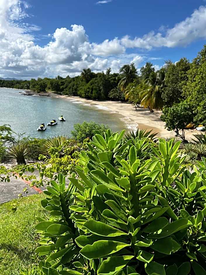 BEAU STUDIO RENOVE AU SEIN D'UN MAGNIFIQUE COMPLEXE HOTELIER