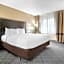 Comfort Inn Detroit Downtown
