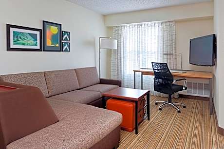 Studio, 1 King Bed with Sofa bed (1 King Bed and 1 Double Sofa Bed)