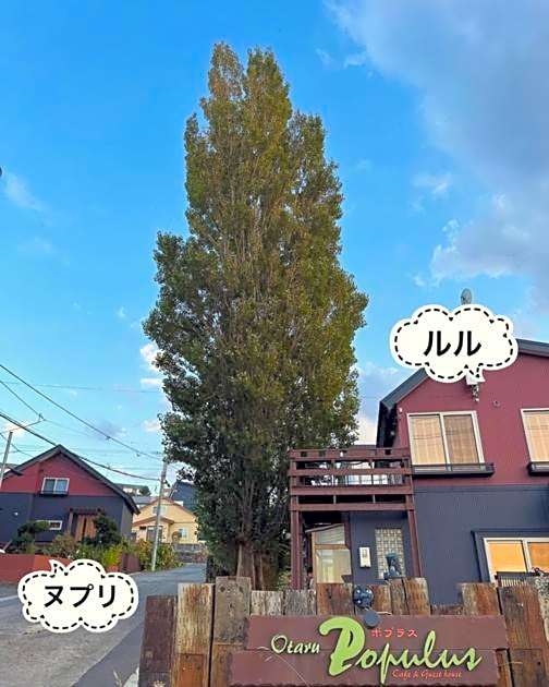 Populus-club Otaru - Vacation STAY 91869v