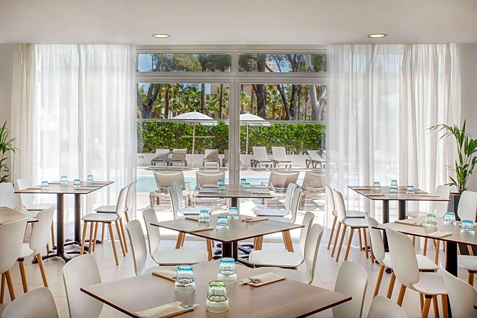 Sol Palmanova-Mirlos Tordos