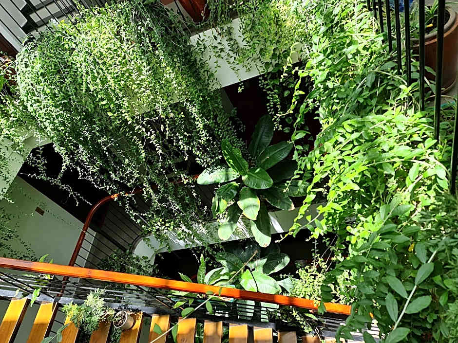 Nicobar Con Dao Hotel