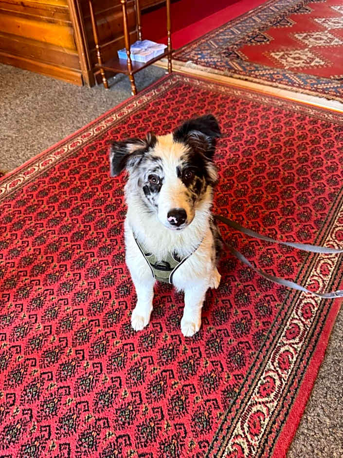 Grand Hôtel & Kurhaus