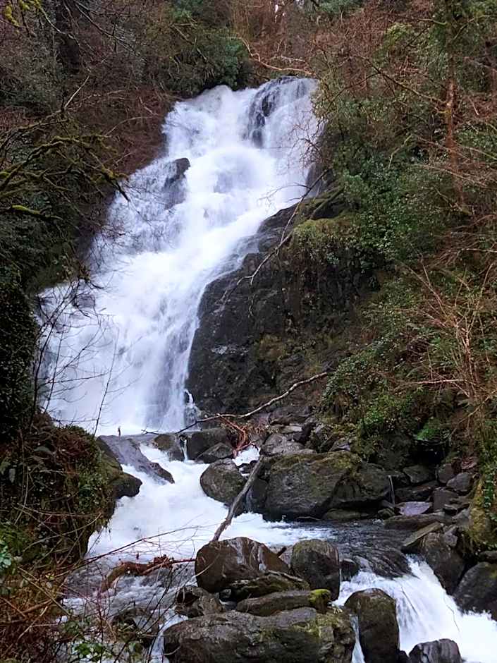 Larkfield House B&B, Ballycasheen Kerry V93 WD51