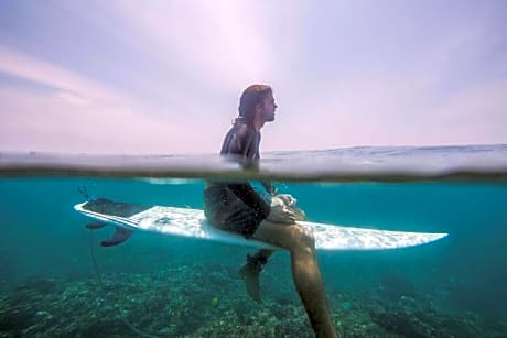 Mentawai Ebay Playground Surfcamp