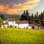 Azienda Agricola I Colli di Marliano