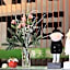 Springtime Hotel
