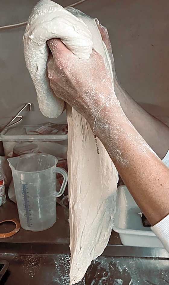 De Levensboom - Het Oud Gemeentehuis