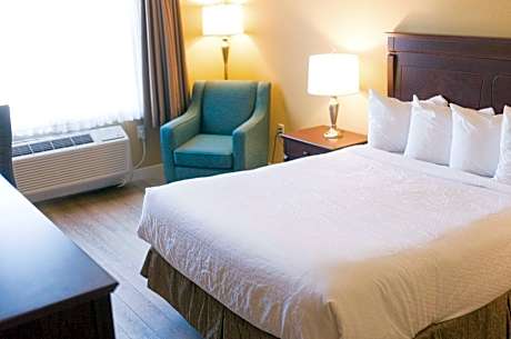 1 Queen Bed Non-Smoking Refrigerator Wi-Fi Full Breakfast
