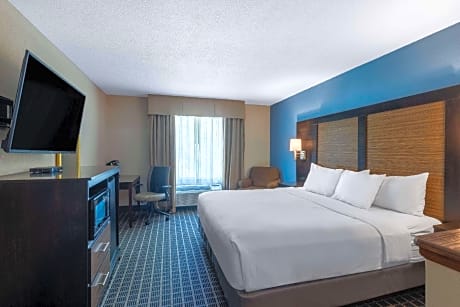 1 King Bed Deluxe Studio Suite Non-Smoking