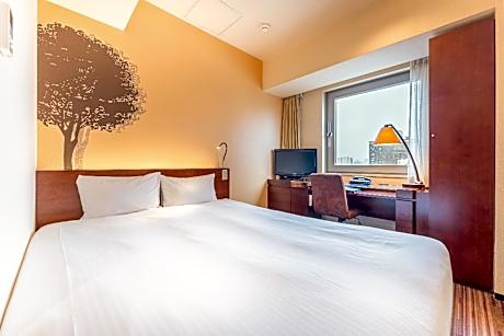 Single Room, Non Smoking