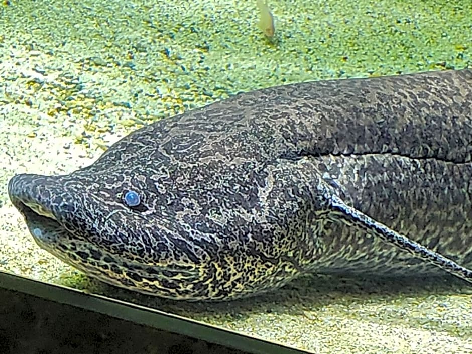 Toyoko Inn Kawasaki Ekimae Isago