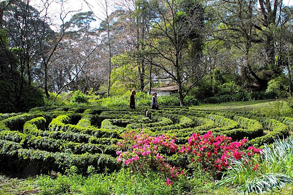 Tomah Retreat - Studio RELAX with fireplace