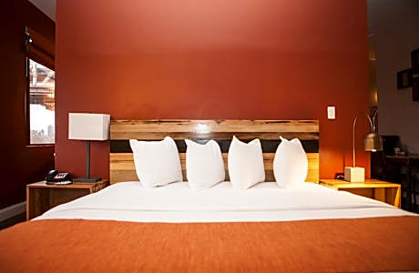 Studio with Sofa Bed