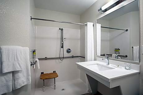 Queen Studio Suite with Hearing Accessible Roll in Shower - Non-Smoking