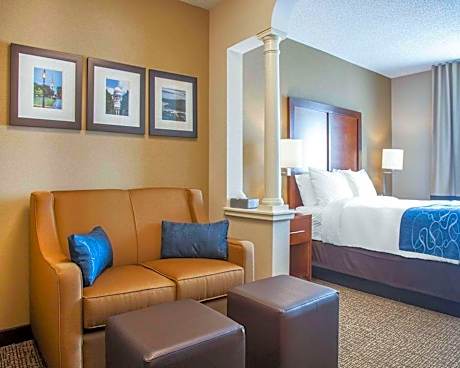 Queen Suite - Non-Smoking - Accessible