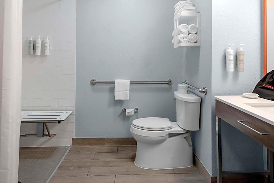 Hampton Inn By Hilton Sarasota - I-75 Bee Ridge