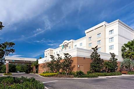 Embassy Suites By Hilton Tampa - Brandon