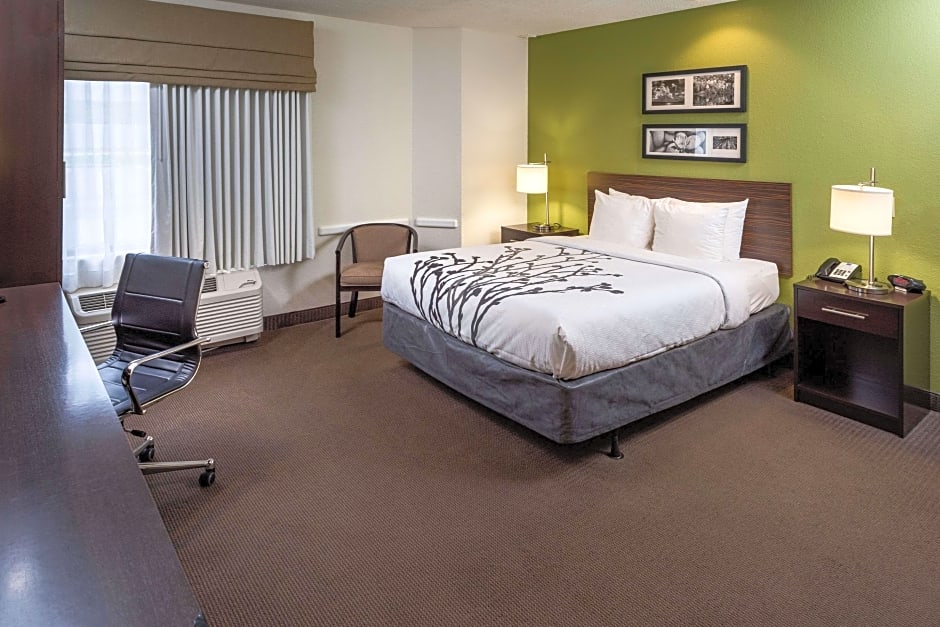 Photo 1 of 3 of 1 Queen Bed, Accessible
