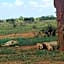 Tausa Tsavo Eco Lodge
