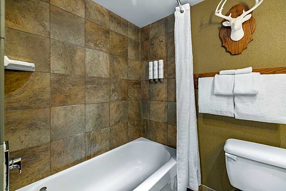 Banff Caribou Lodge And Spa