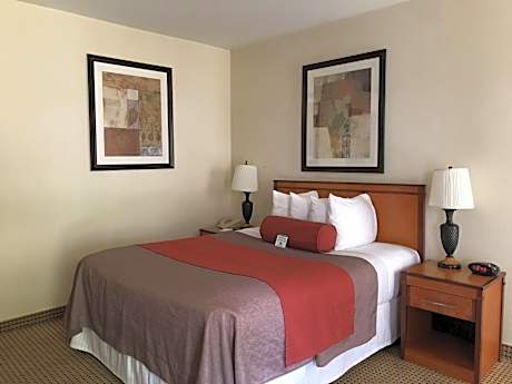 Accessible Queen Size Bed