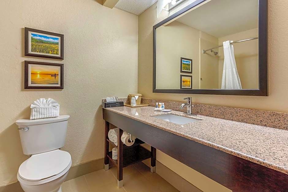 Comfort Inn Lenoir City-Knoxville