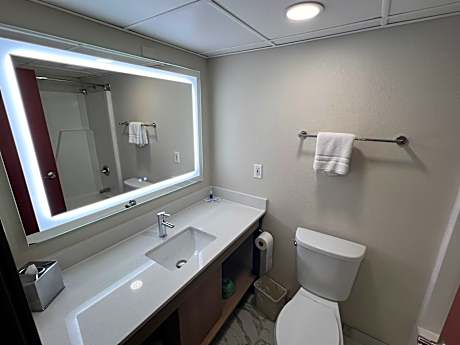 King Suite with Living Room - Non Smoking