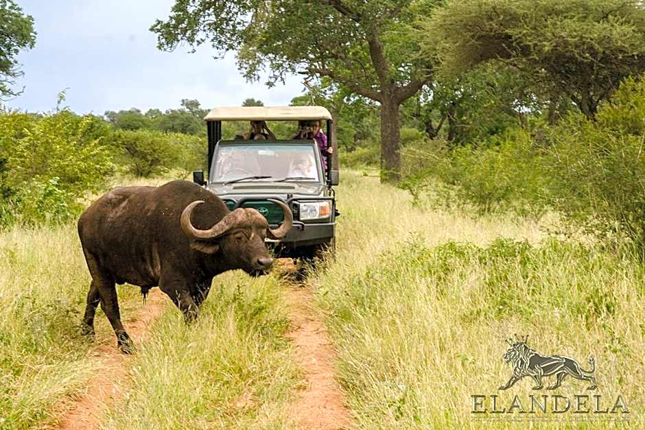 Elandela Private Game Reserve and Luxury Lodges Pty Ltd