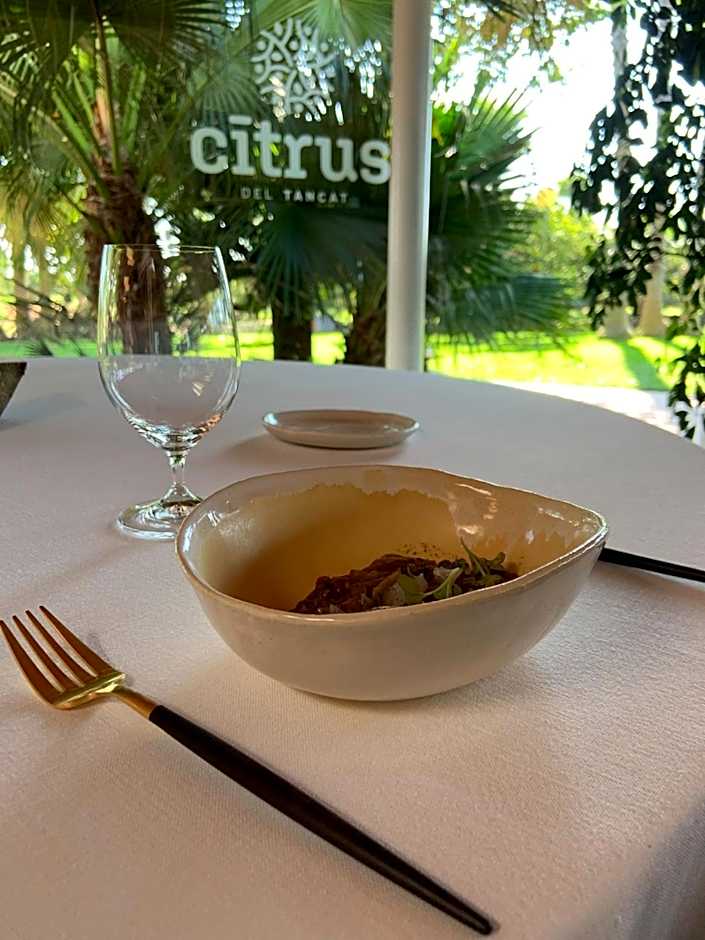 Hotel Tancat de Codorniu