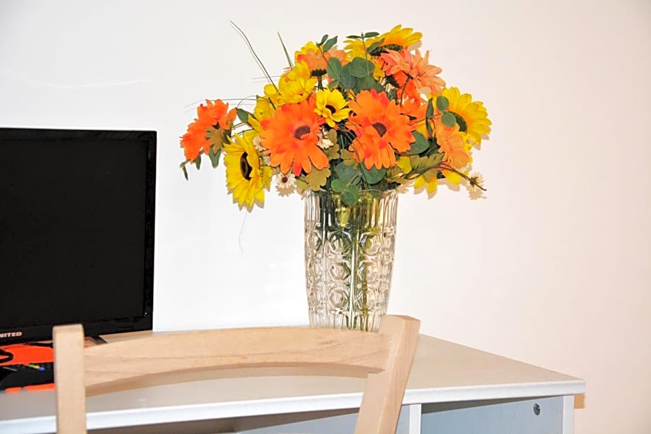 Salenterra B&B (Salento)