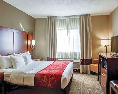 1 King Bed, Suite, Nonsmoking