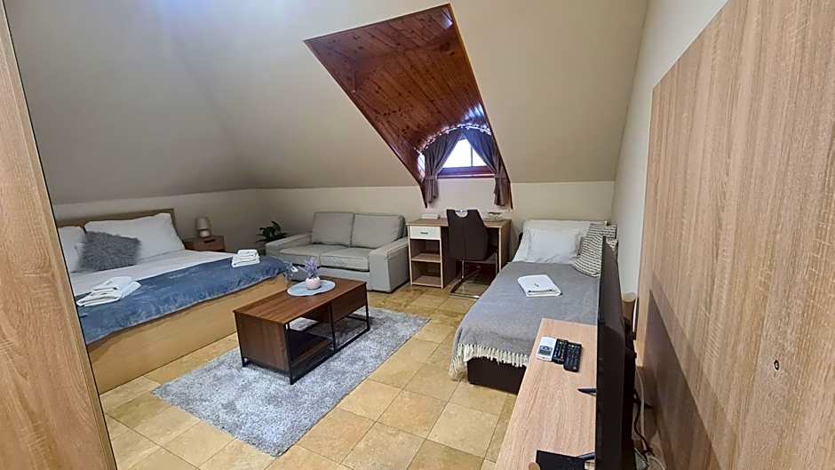 Downtown Apartments with shared kitchen