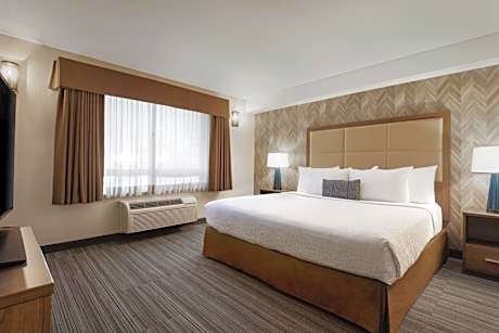 One-Bedroom King Suite with Sofa Bed