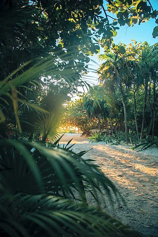 Ikal Tulum Hotel photo 32