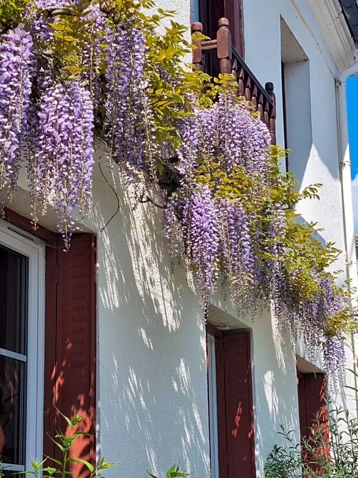 Les Glycines de Monchy- Chambres d'hôtes