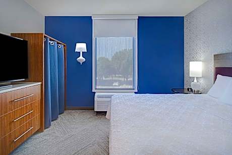 1 King Bed 1 Bedroom Suite Nonsmoking