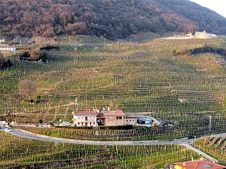 Agriturismo B&B Casa Bortolin