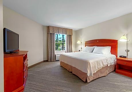 One-Bedroom King Suite with Sofa Bed - Non-Smoking