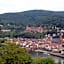 Hotel Rose Heidelberg inklusive Frühstück, Saunanutzung und Parkplätze nach Verfügbarkeit