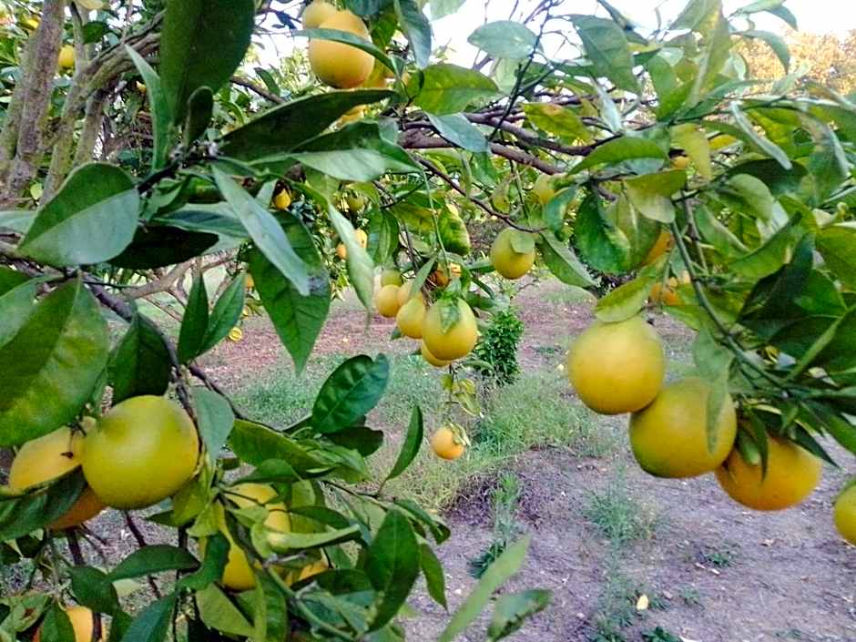 Hotel Club d'Azeitao