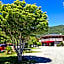Picton Campervan Park