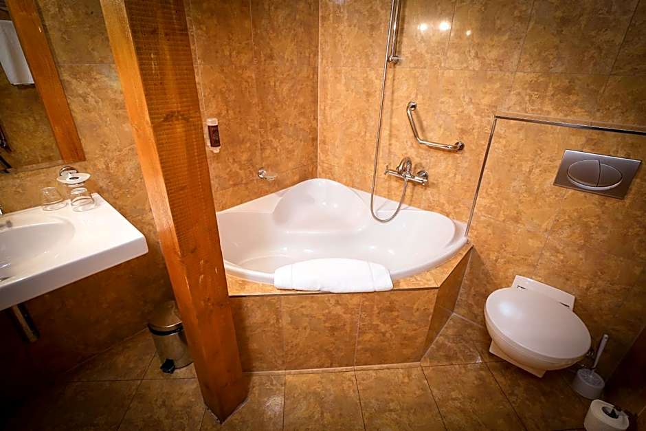 LH Hotel Dvořák Tábor Congress & Wellness