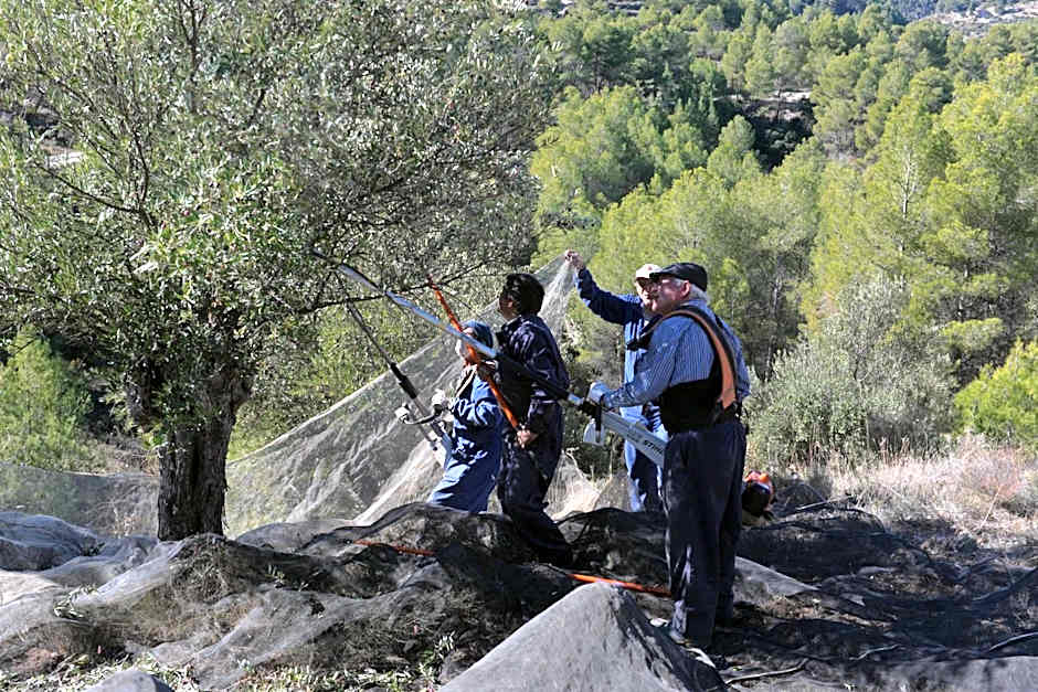 Hotel con encanto Masia la Mota
