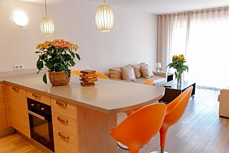 Superior One-Bedroom Apartment with Terrace