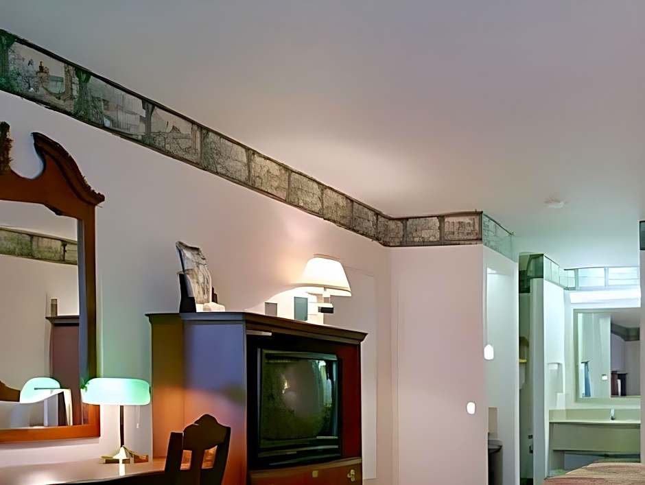 Irving Inn and Suites at DFW Airport