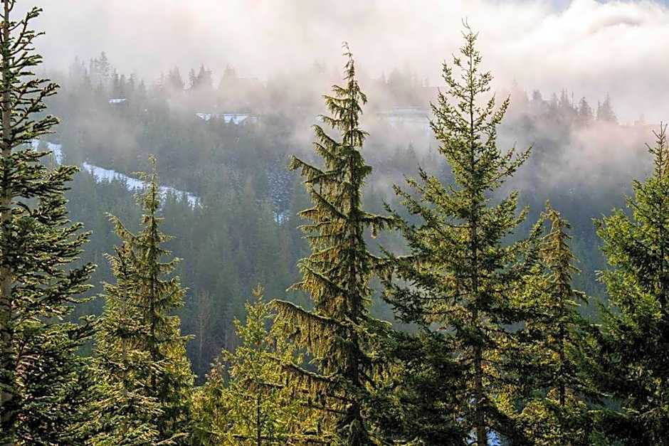 Taluswood Ridge by Outpost Whistler