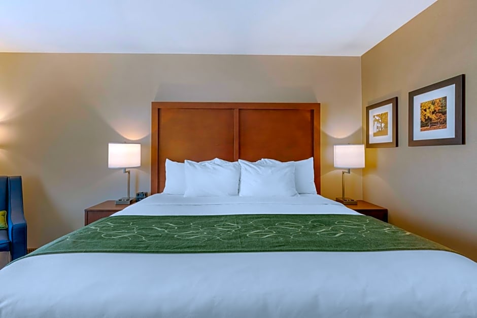 Comfort Inn & Suites Schenectady - Scotia
