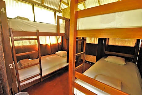 Bunk Bed in Mixed Dormitory Room